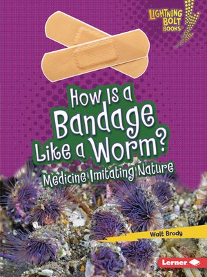 cover image of How Is a Bandage Like a Worm?